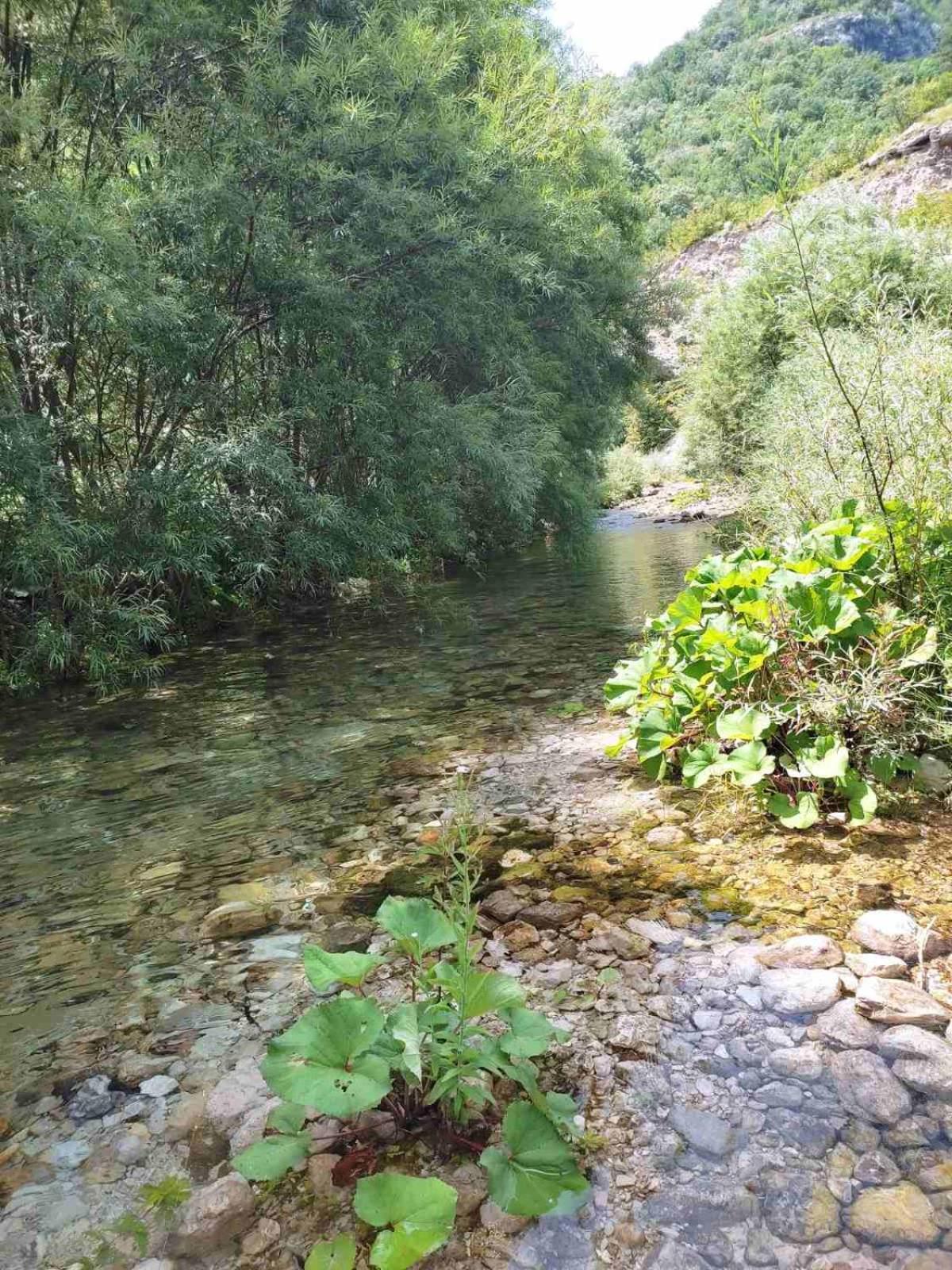 Kuca Za Odmor Diva Villa Mostar Exterior foto